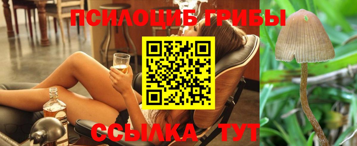 Галлюциногенные грибы MAGIC MUSHROOMS Всеволожск